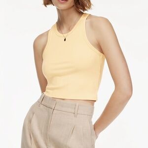 Aritzia Heli Tank